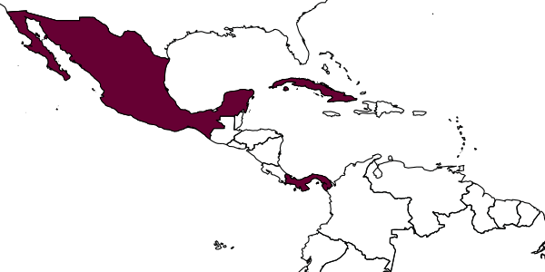 map of Cephalonomia stephanoderis     Betrem, 1961